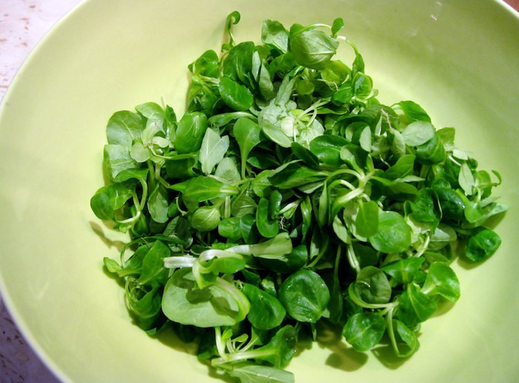 lammsalladsrecept grön sallad blandad spenat