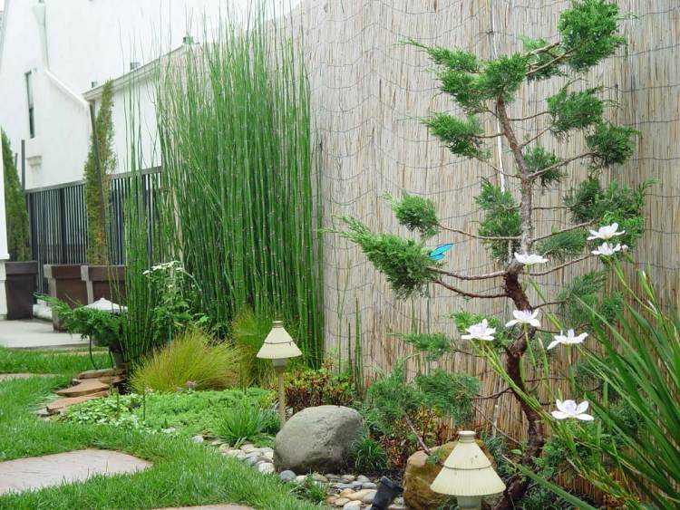 Feng Shui trädgård design bambu mattor-sekretess skärmar-växt-trädgård lampor