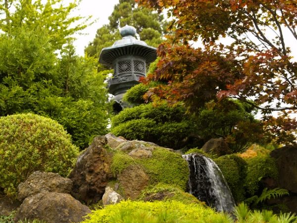 Japanska trädgårdsregler lägger ut vattenfall-stenar arrangemang-flora