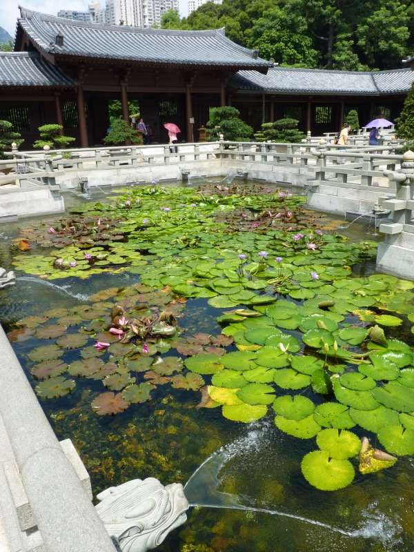 Vattenträdgårdar-Feng Shui design Skapa en vattendamm tips