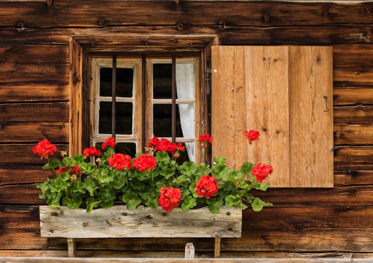 fönster-dörrar-trä-slutare-land-hus-röda pelargoner