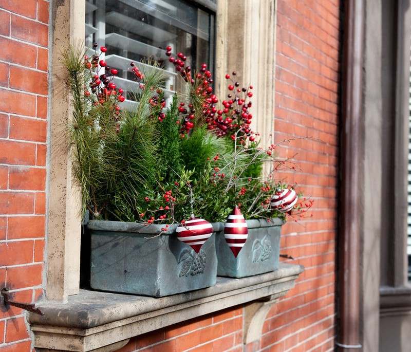 Fönsterdekoration-jul-ros-höft-julpynt-fönsterbräda-vintergröna-perenner