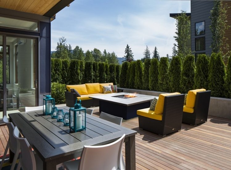 öppen spis terrass modern sekretess skärm thuja träd