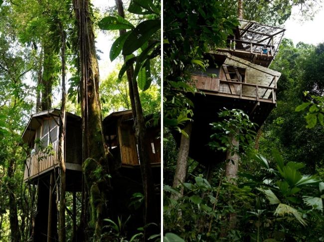 Trähus på pålar i skogen Costa Rica djungel