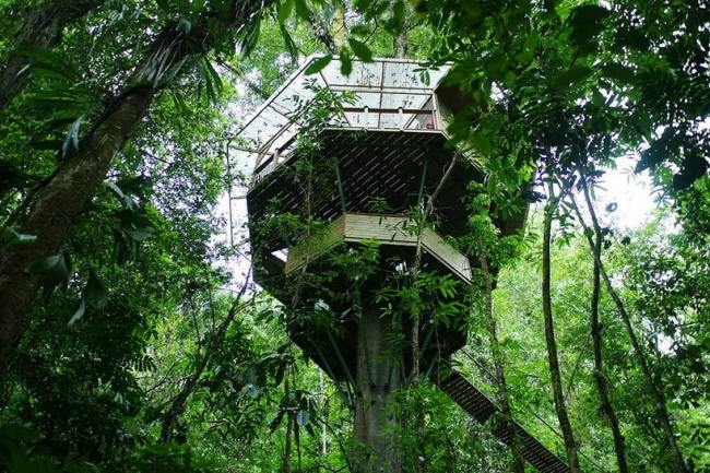 Modernt trädhus-tillgängligt med trappor-Costa Rica