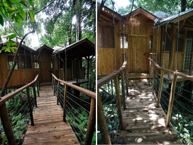 Regnskog Costa Rica Bosättning Privat Retreat Plats Skog