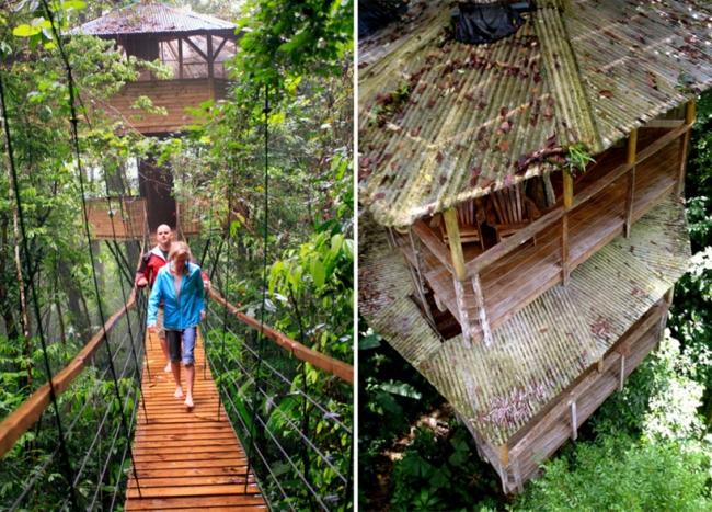 Tree House Complex Costa Rica Rainforest Rope Bridges Connection