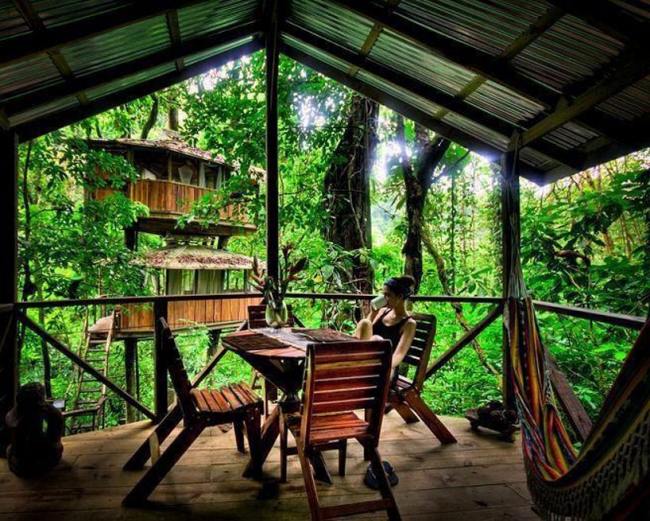 Bor nära naturen Costa Rica djungel stylthus