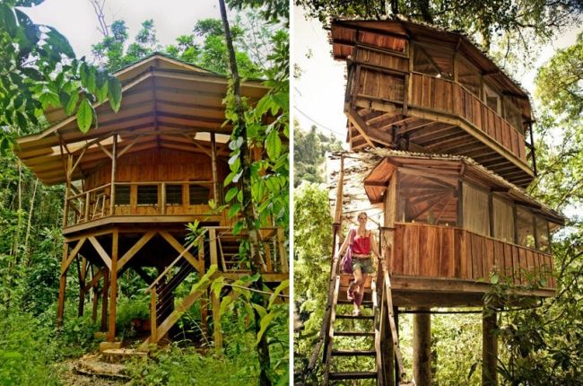 Bygga ett stilhus-Finca bellavista-Hotel Costa-Rica skog