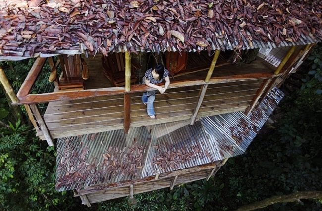 Övernatta i ett trädhus bygga Costa Ricas djungel