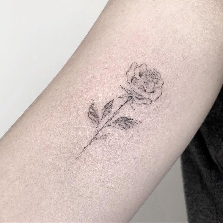Rose tatuering design överarm fineline tatuering motiv