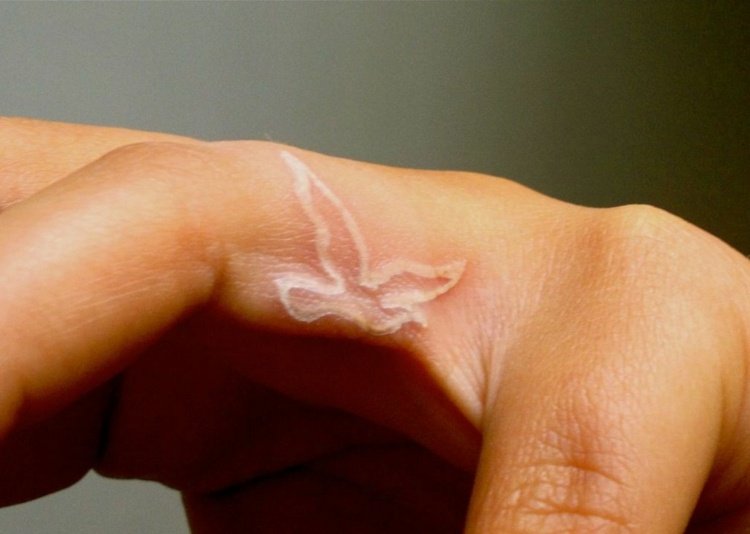 finger-tatuering-vit-enkel-ring-finger-sidledes-fågel-svälja-liten