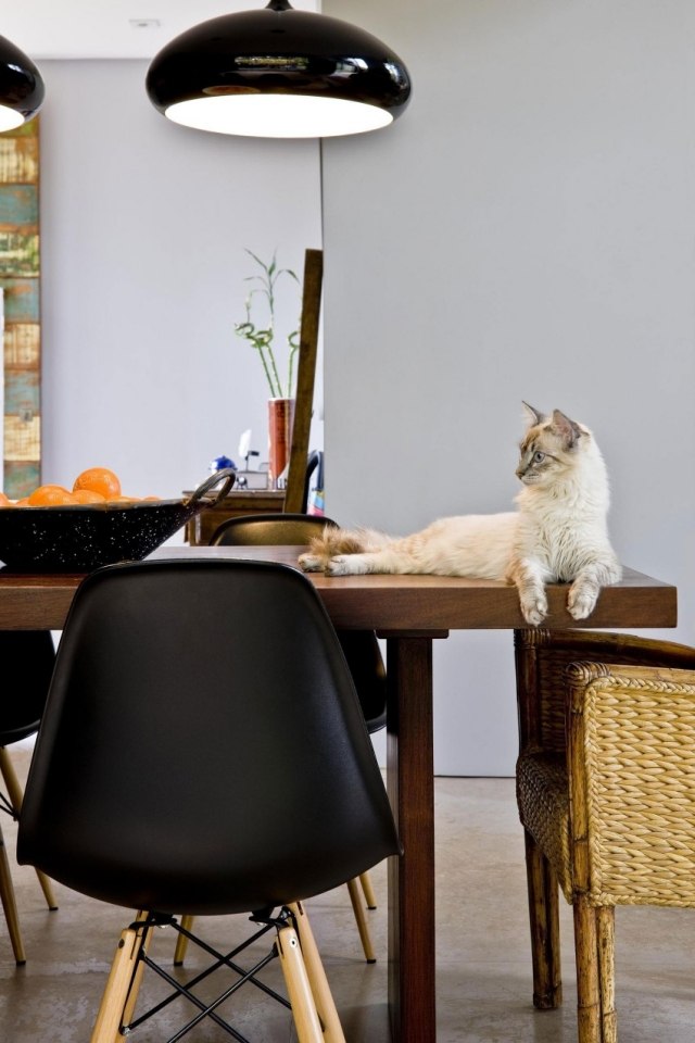 Matsal trästolar-rottingfåtöljer matbord-massivt trä katt