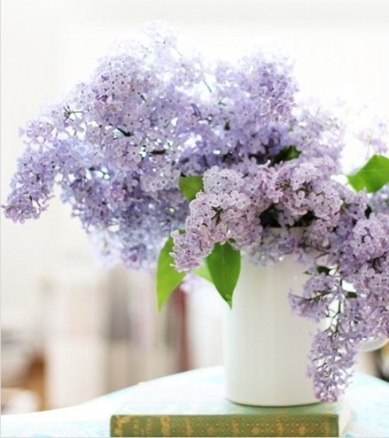 lila-färger-lila subtil-vit-vas vårdekoration med blommor
