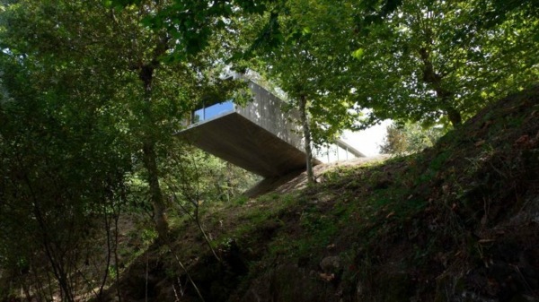 minimalistisk skogshus sluttning-modern-skog-design