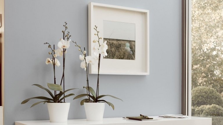 Vägg i grå och vit målning kalla färger kombinerar designidéer för eleganta entréområden