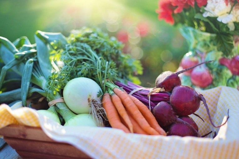 Frukt- och grönsaksodling och dekorativ design i ett med foodscaping