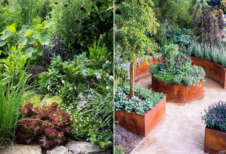 Bäddar i cortenstål med grönsaker och frukter för en modern matdesignande trädgårdsdesign