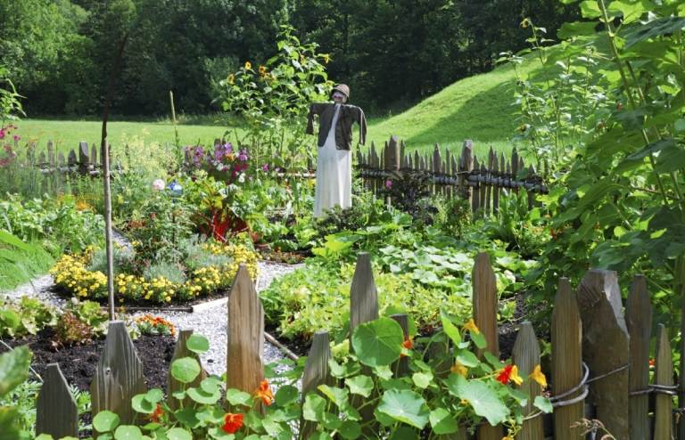 Skapa dekorativa och ätbara sängar i grönsaksträdgården