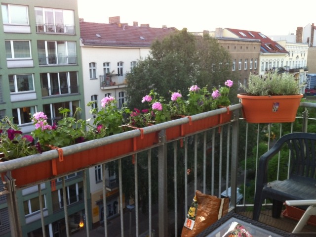 Blommor i balkonglådor räcke som planterar pelargoner