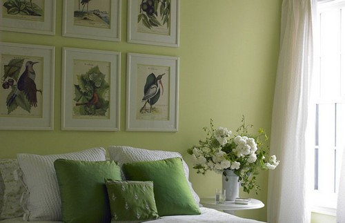 gräs grönt sovrum vägg dekor idé fåglar