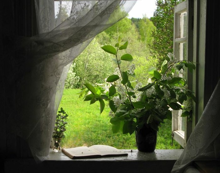 öppet fönster frisk luft vår doft blomma vas fönsterbrädan