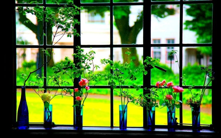 underbara idéer-med-blommor-för-fönstren