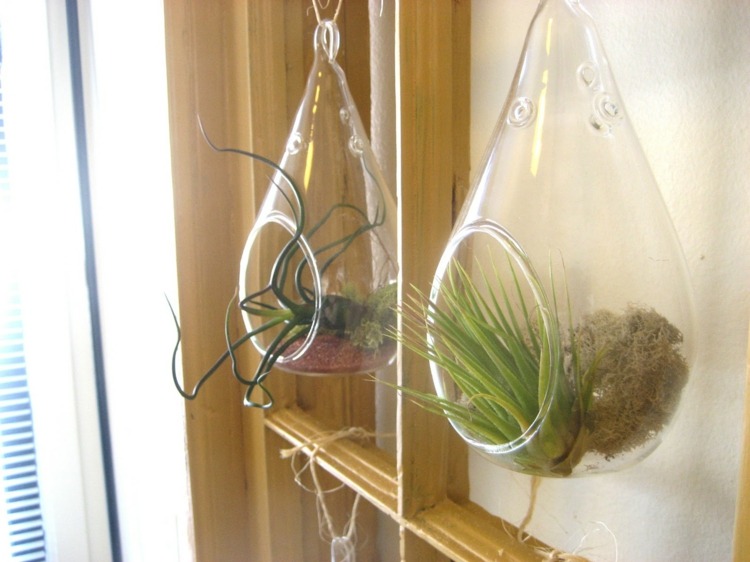 handgjorda växter fönsterruta