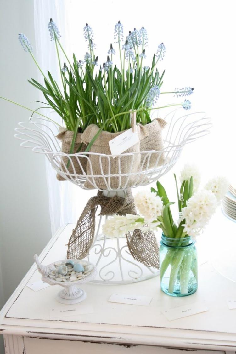 vårblomma-fönster-hyacint-glas-lökväxter