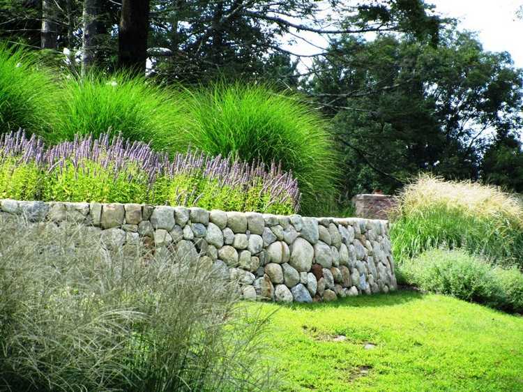 friesenwall-plantering-prydnads-gräs-lavendel