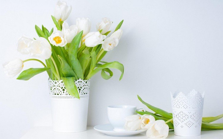 Blomma dekoration för våren vit-tulpan-ikea-pot-top