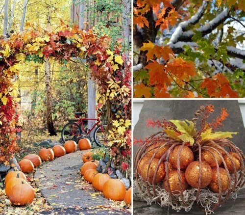 Garden Path Decoration Pumpa