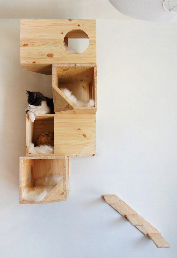 Träkattmöbler design-catissa-ljus-trä