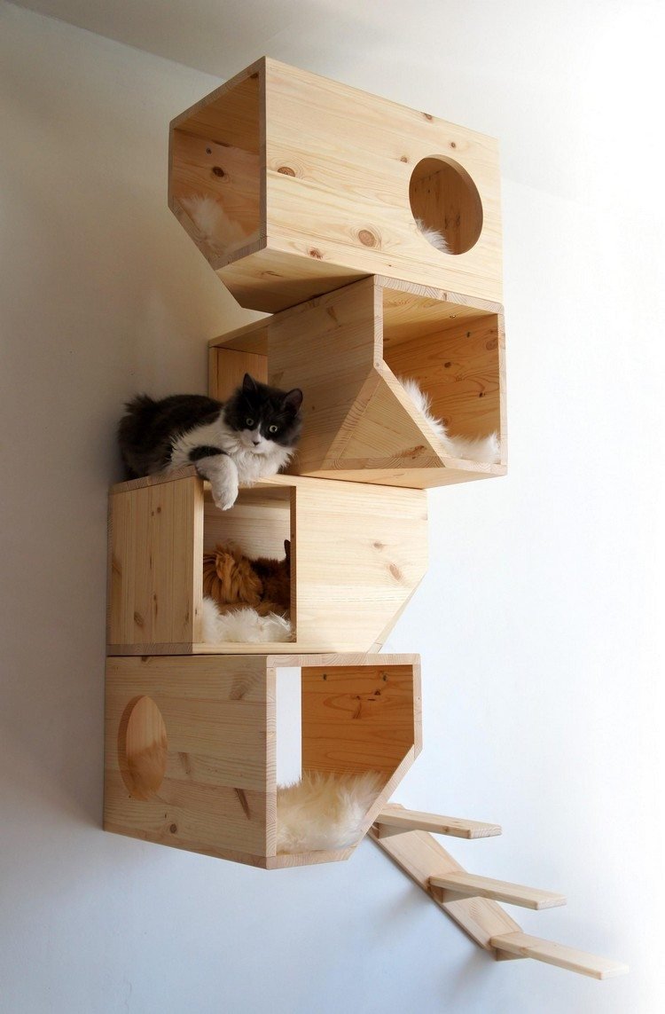 katt-möbler-trä-design-catissa-ljus-trä-obehandlat