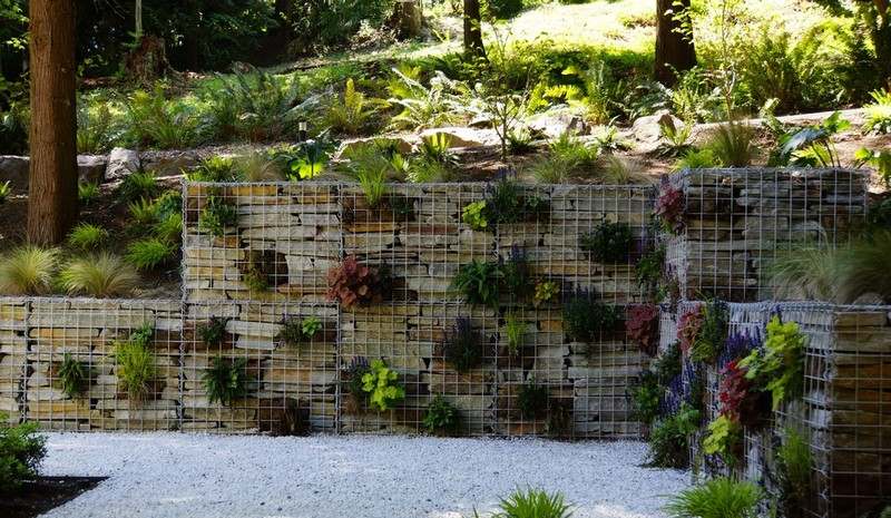 Gabion-staket-bygg-själv-saftiga-växt-terränglandskap