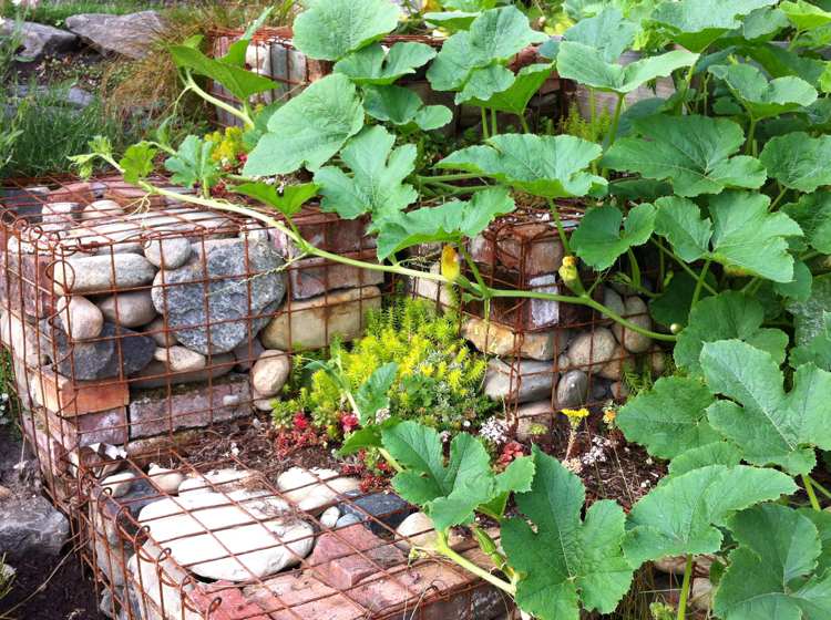 gabion vägg-trädgård-design-gröna-stenar-fyll-gör-själv