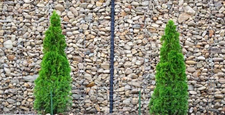gabion vägg-gabion staket-modern-trädgård-design-cypress-grönska-häck-enkel