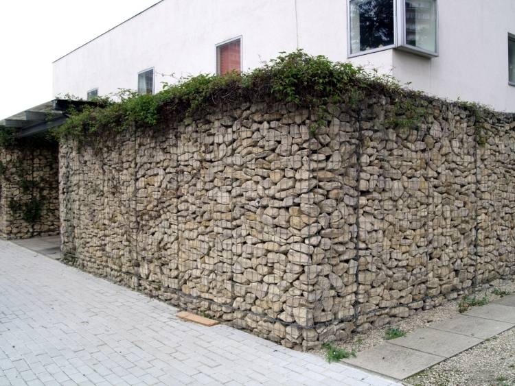 gabion vägg-gabion staket-modern-trädgård-design-grönning-klättring växter-murgröna-hus