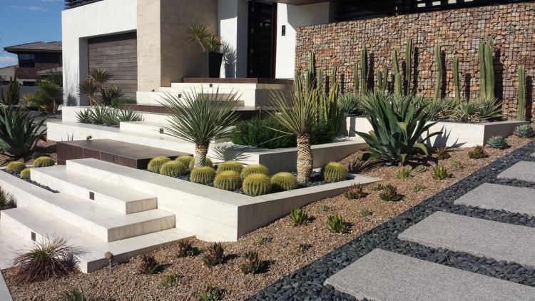 Gabion vägg och gabion staket -moderna-trädgård design-hus-arkitektur-rock trädgård-kaktus-agave-solig