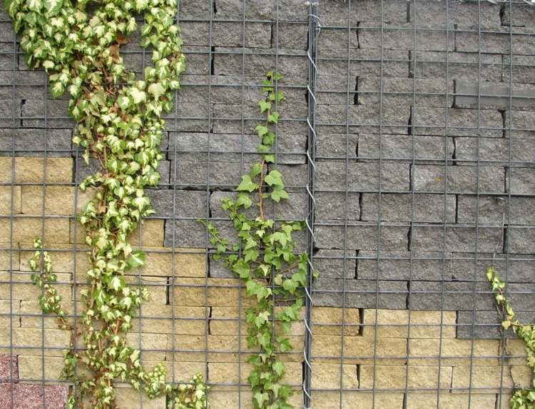 gabion staket idéer gatsten murgröna tråd