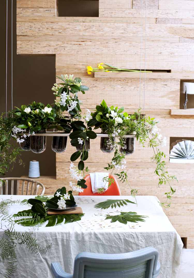 Gardenia vårdtips trädgårdsarbete förökar sticklingar våren