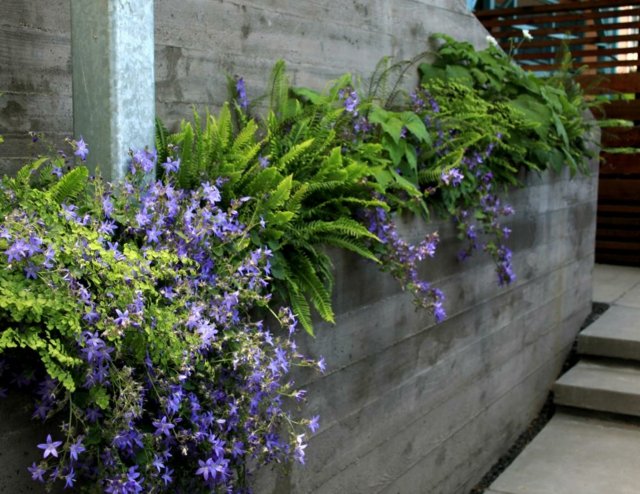 Betong stödmur blommor trappor dolda trädgården sluttning designidéer exempel