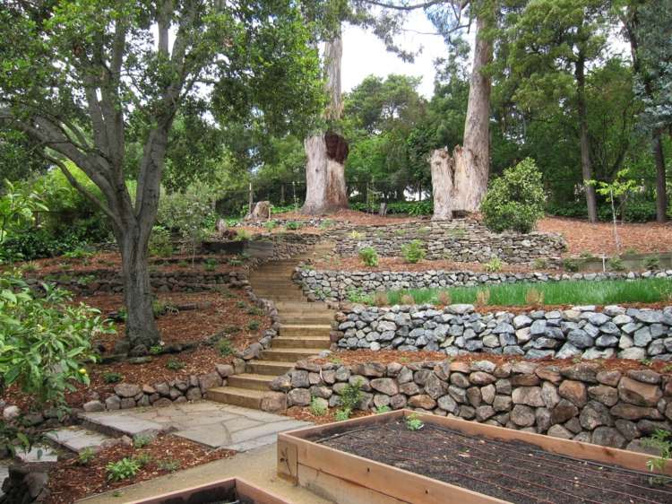 trädgård på sluttningen form trappor terrasser sten säng