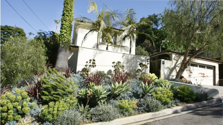 trädgård på en sluttning form kaktusar palmer växter hus (hus) fasad