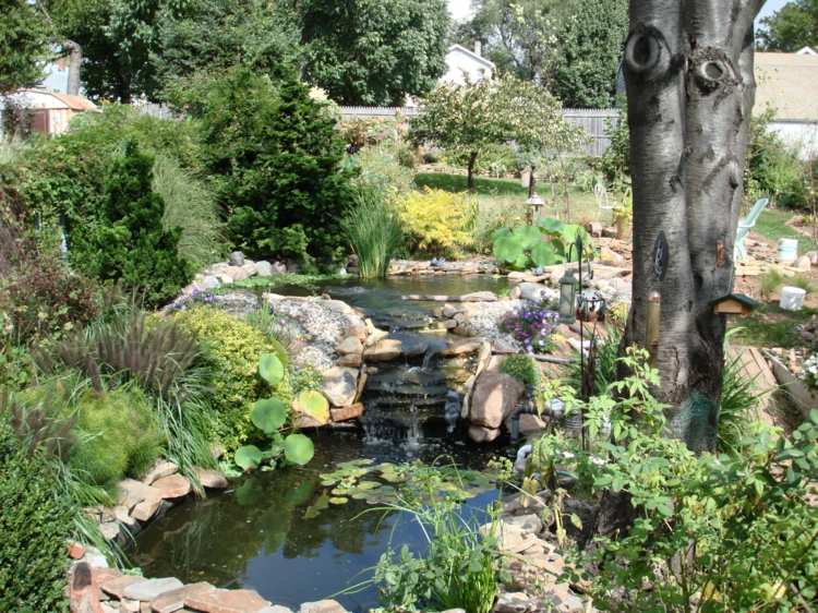 trädgård på en sluttning design damm bygga vattenfall växter graeser