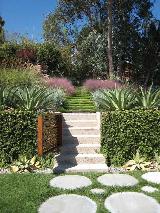sluttning trädgård design trappor sten växt aloe växt