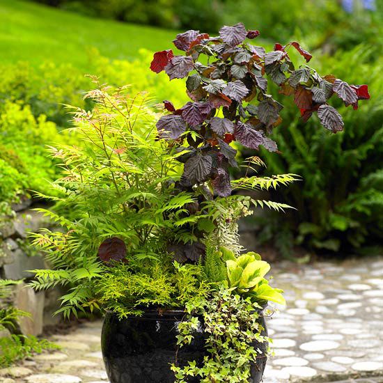 Steinweg blomkrukor trädgård