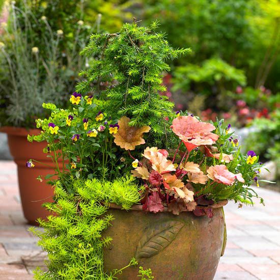 Blommor krukor trädgård
