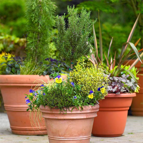 Blommor blomkrukor dekoration