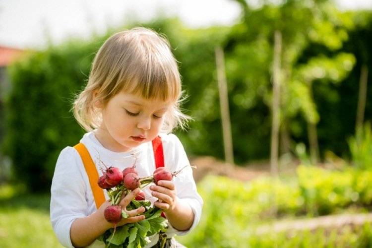 trädgårdsskapande-barns-tips-rädisor-enkla-rotfrukter